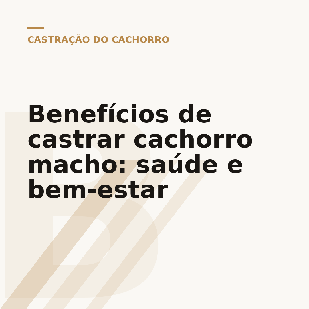 Benefícios de castrar cachorro macho: saúde e bem-estar