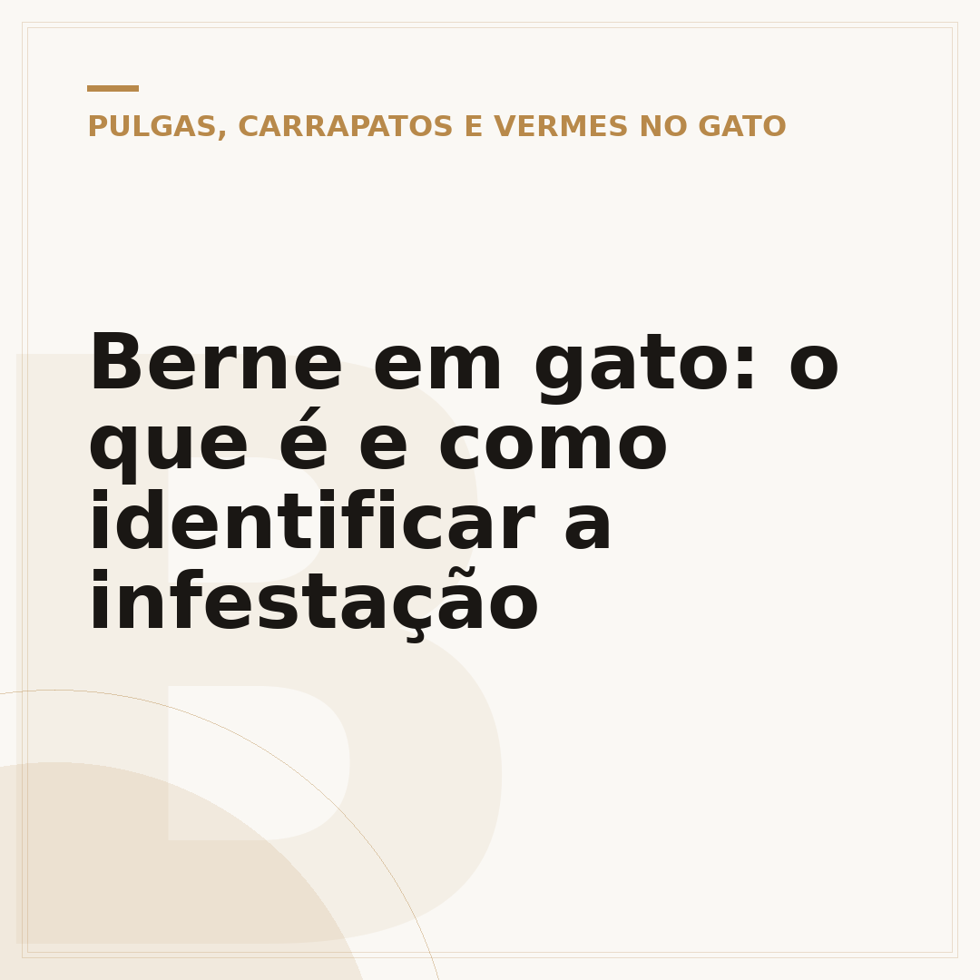 Berne em gato: o que é e como identificar a infestação