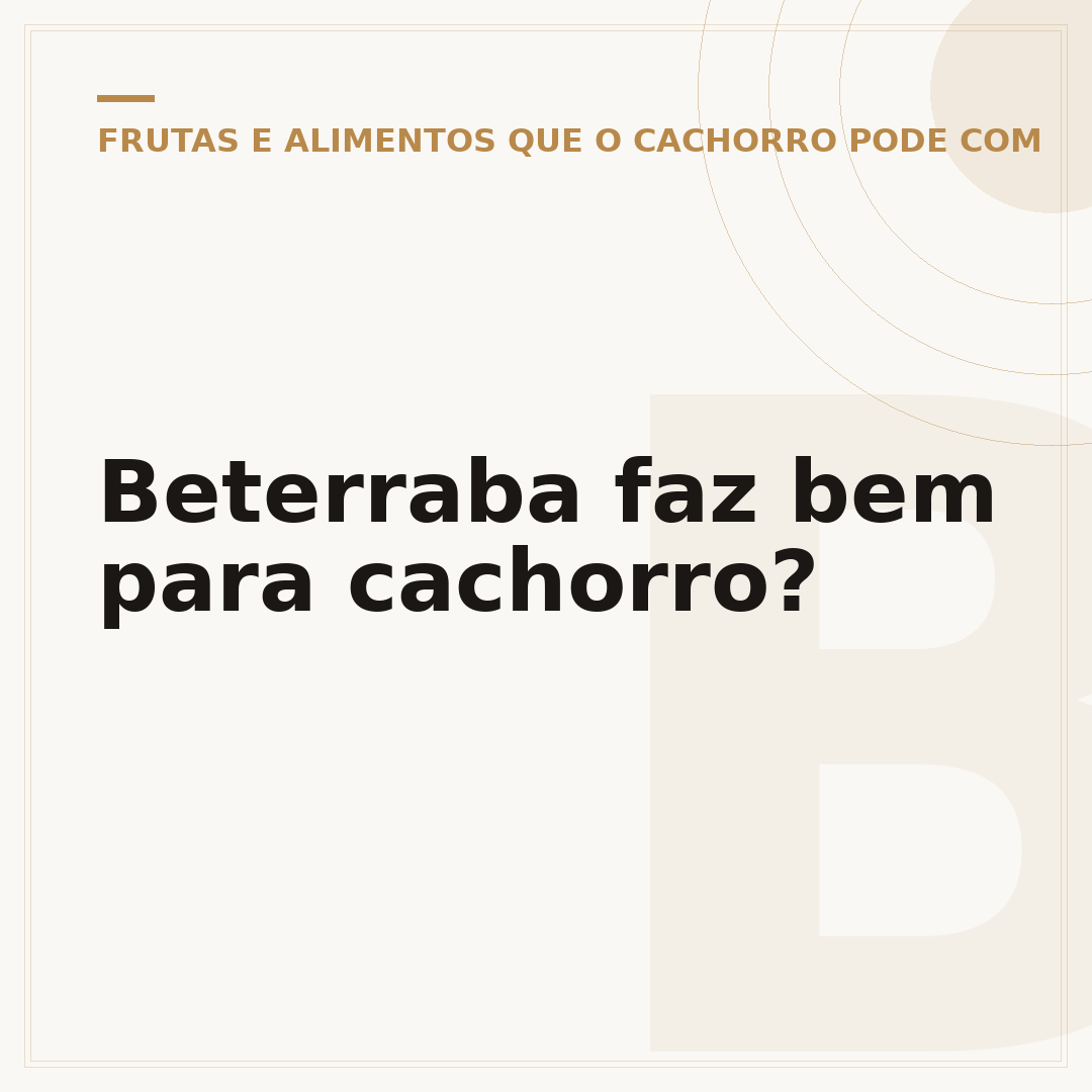 Beterraba faz bem para cachorro?