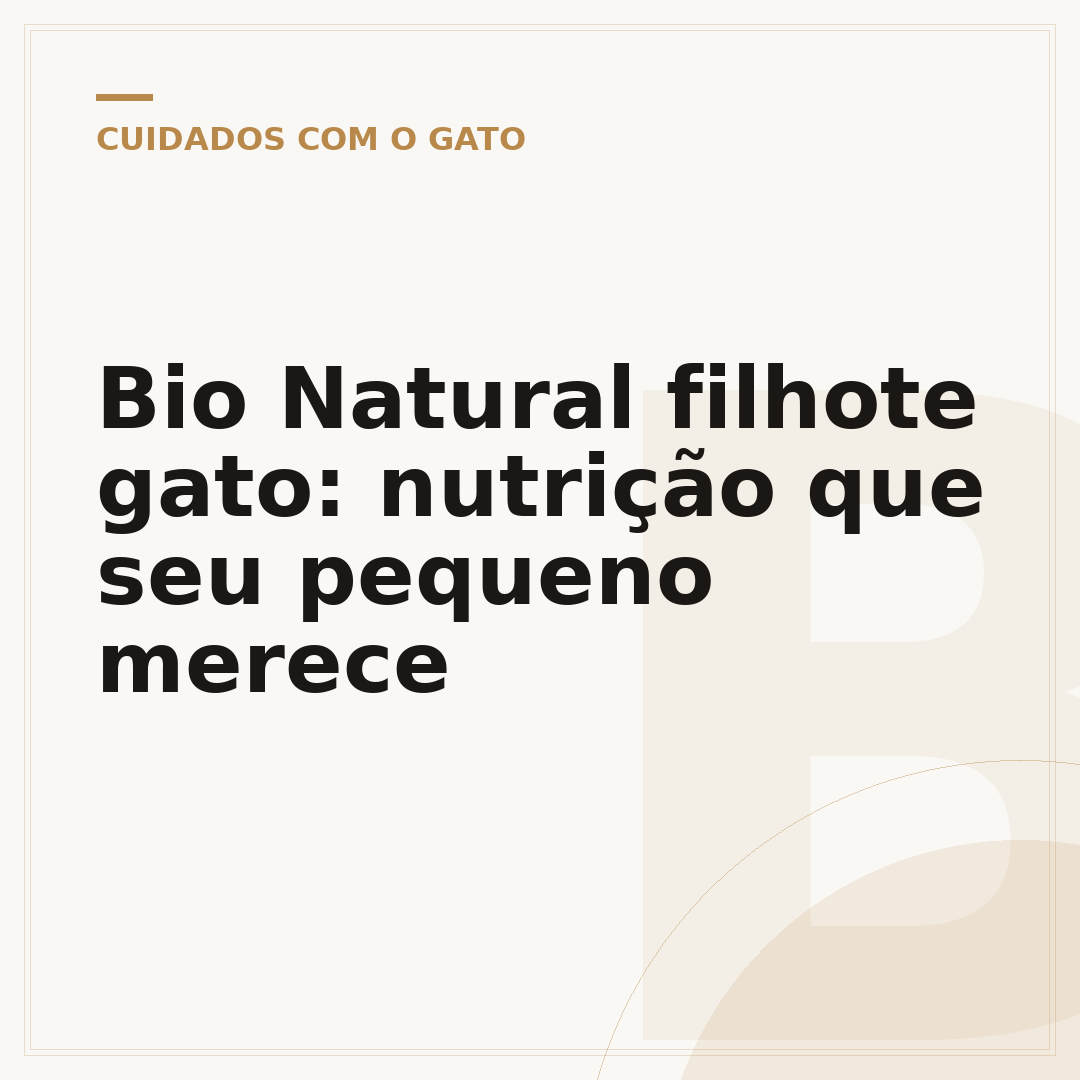 Bio Natural filhote gato: nutrição que seu pequeno merece