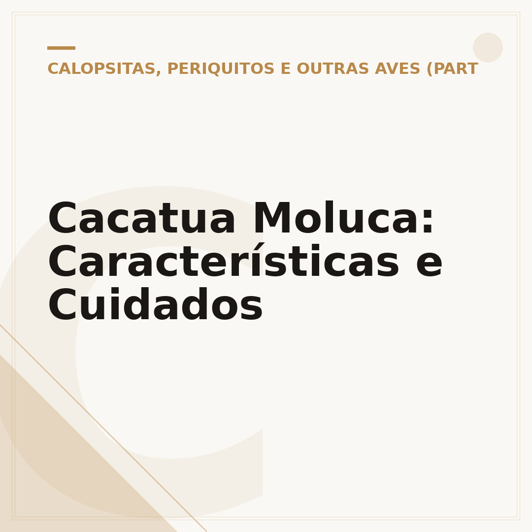 Cacatua Moluca: Características e Cuidados