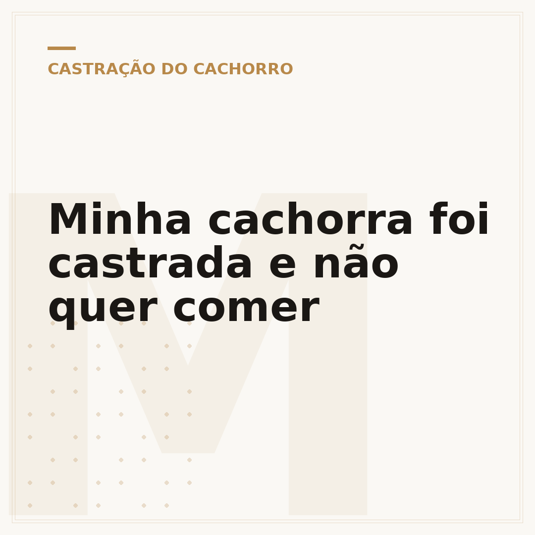 Minha cachorra foi castrada e não quer comer