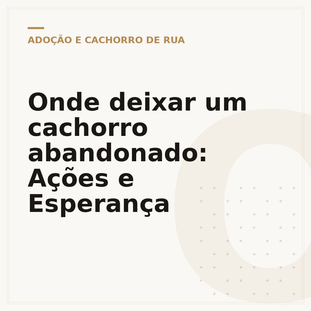 Onde deixar um cachorro abandonado: Ações e Esperança