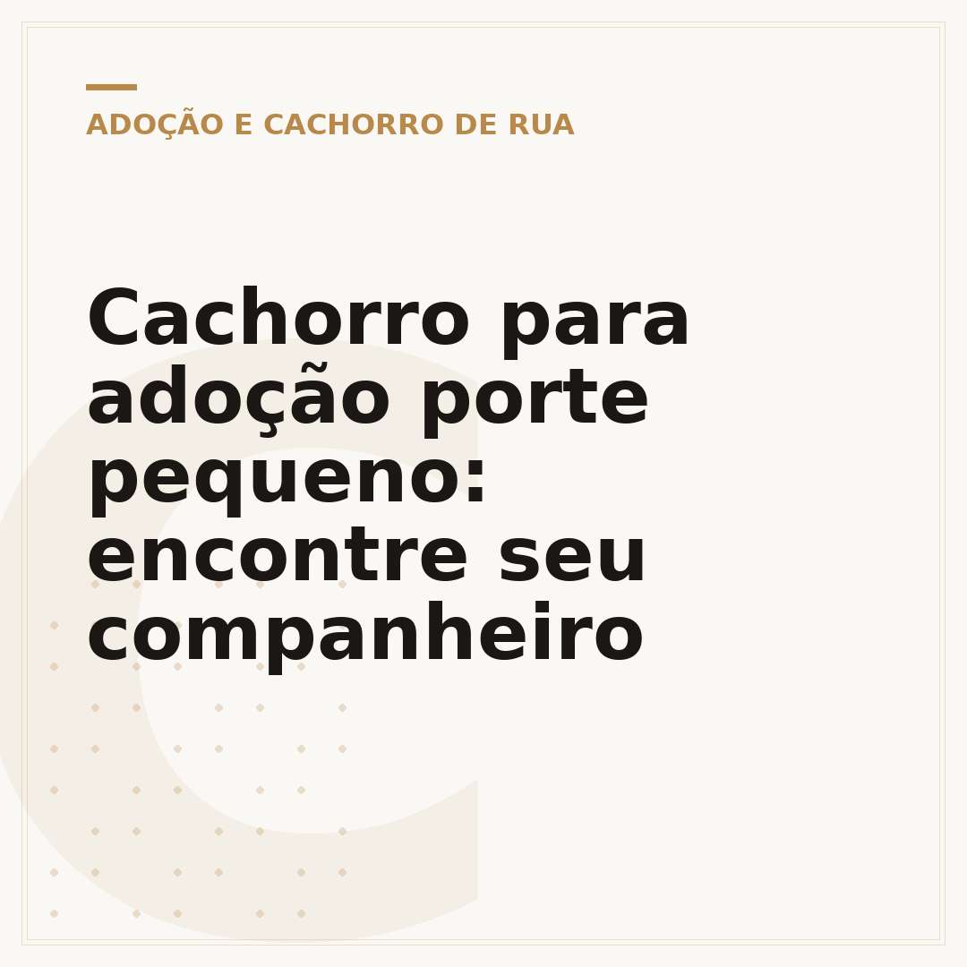 Cachorro para adoção porte pequeno: encontre seu companheiro