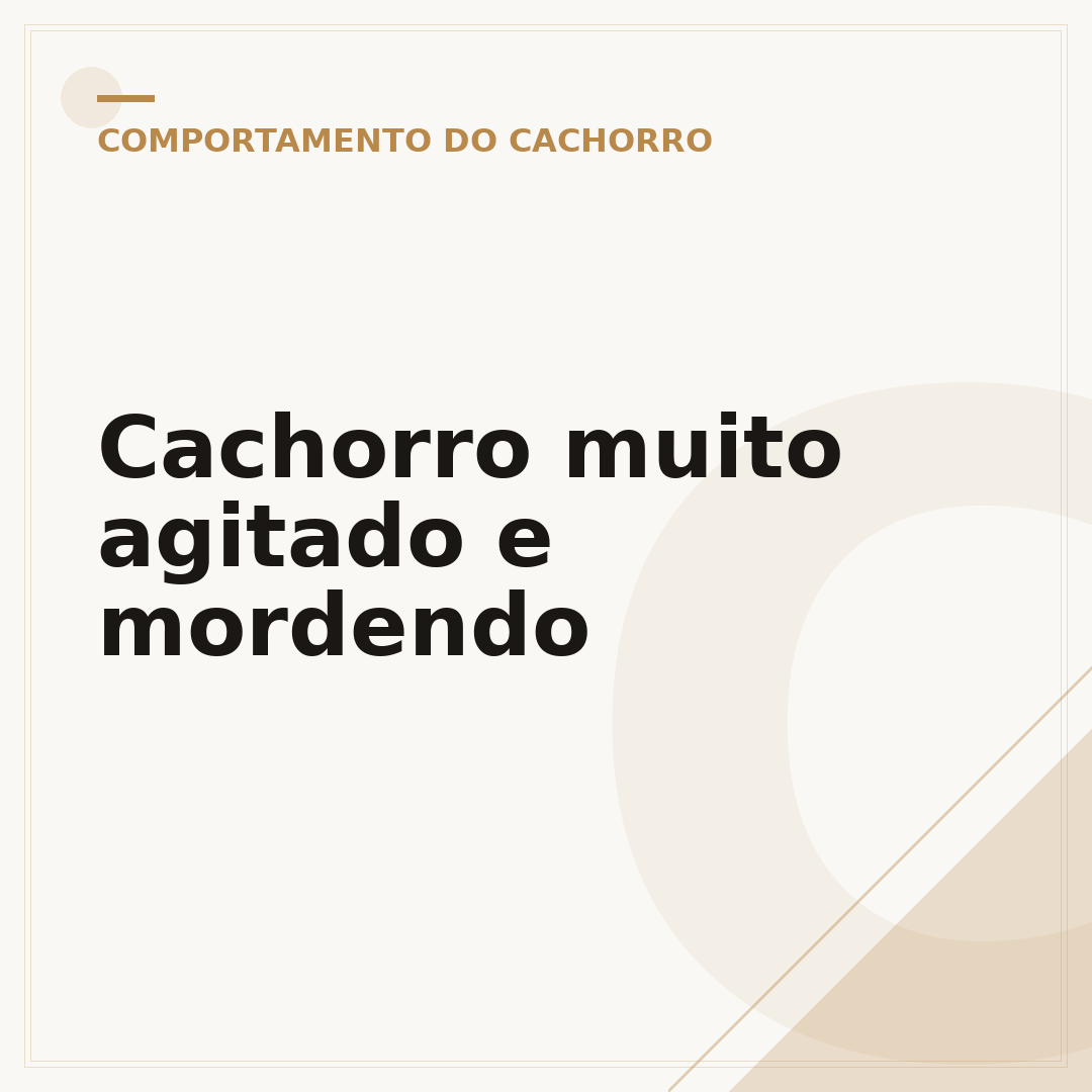 Cachorro muito agitado e mordendo