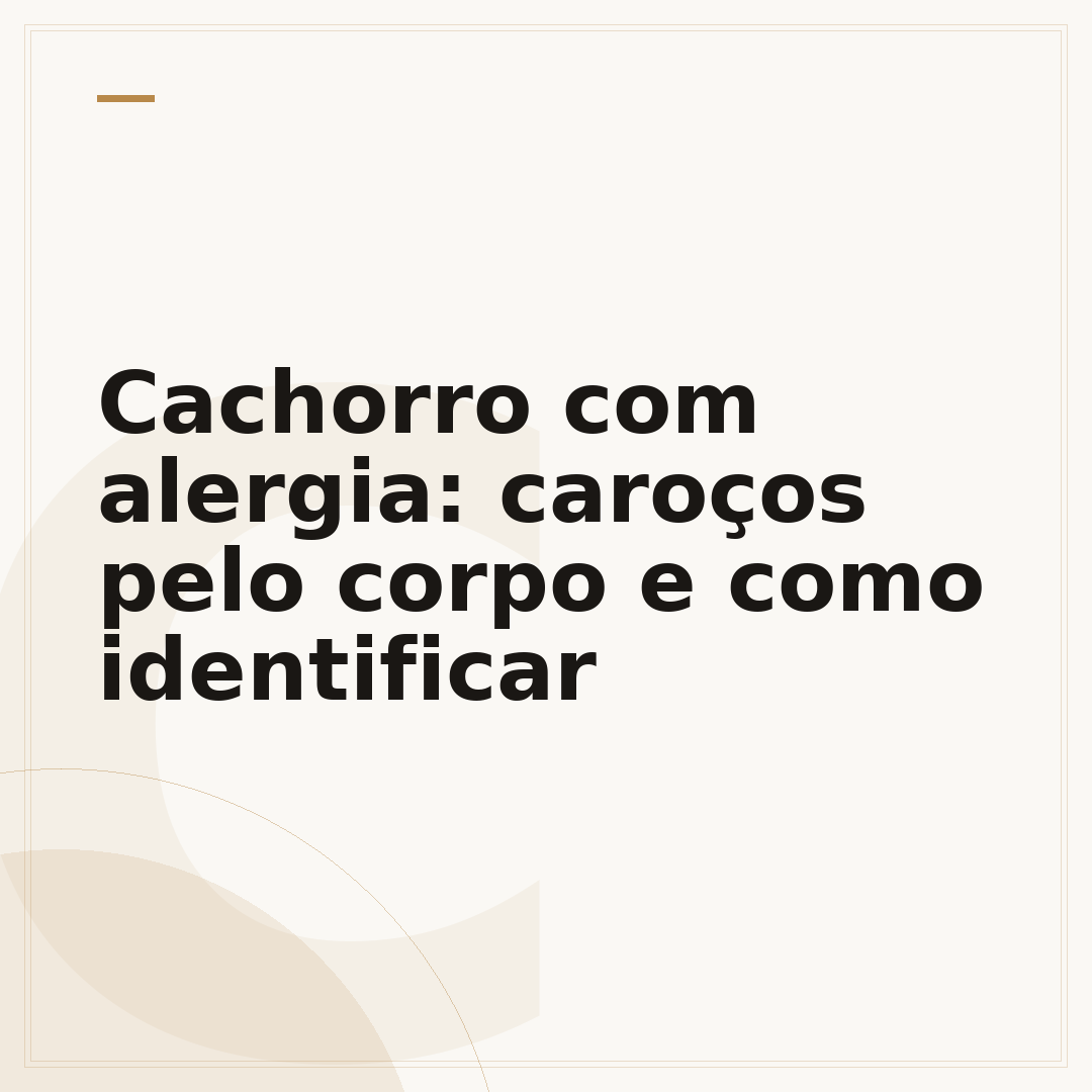 Cachorro com alergia: caroços pelo corpo e como identificar