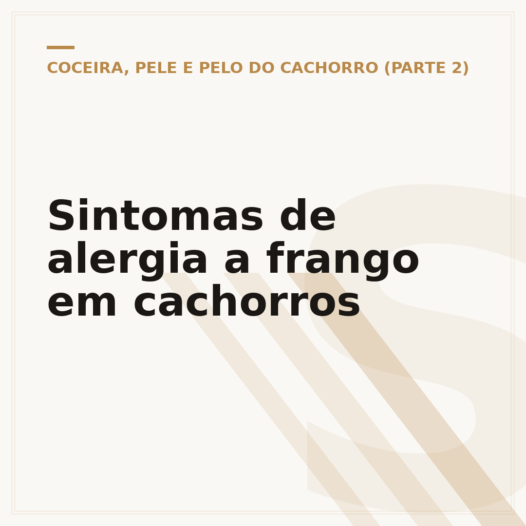 Sintomas de alergia a frango em cachorros