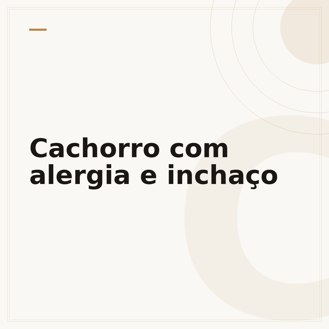 Cachorro com alergia e inchaço
