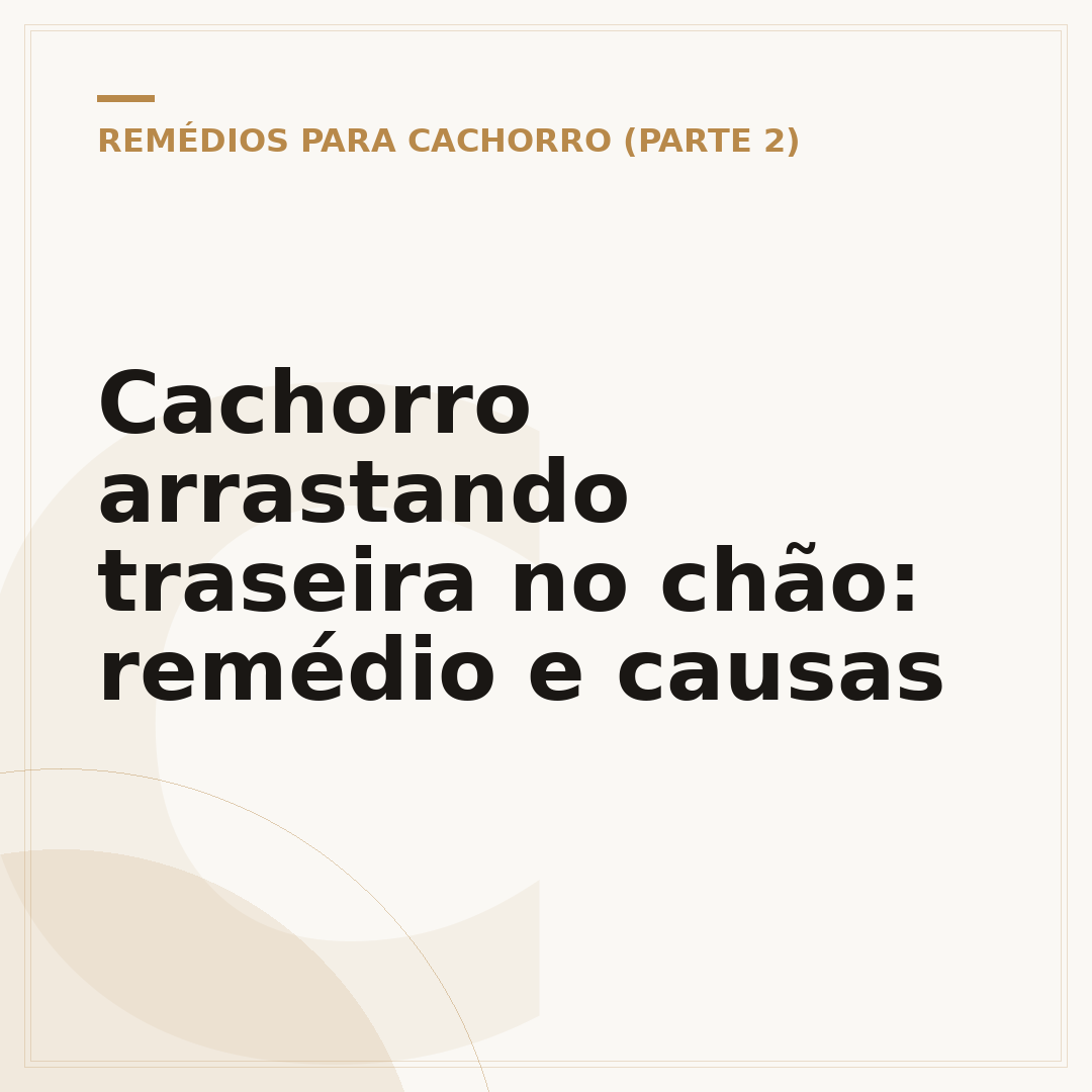 Cachorro arrastando traseira no chão: remédio e causas