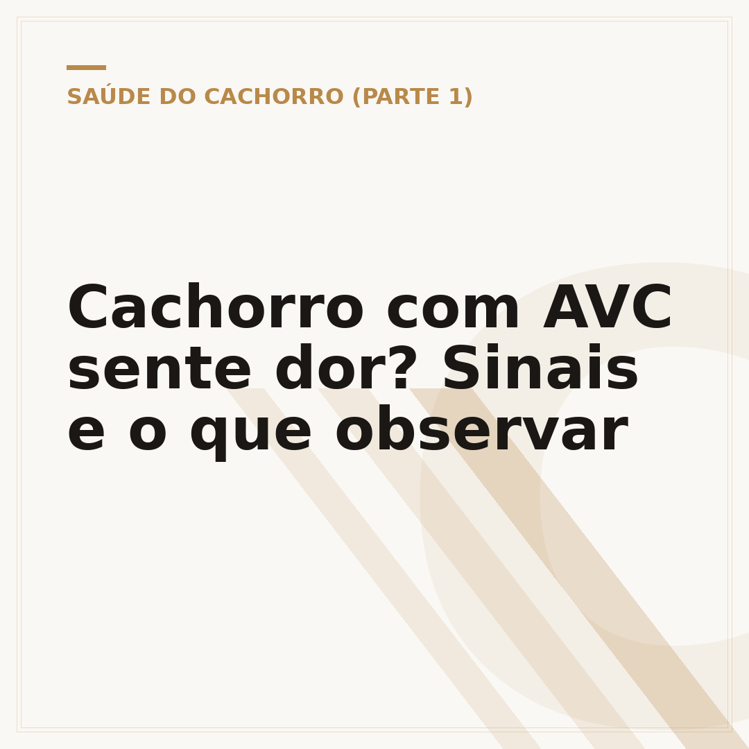 Cachorro com AVC sente dor? Sinais e o que observar