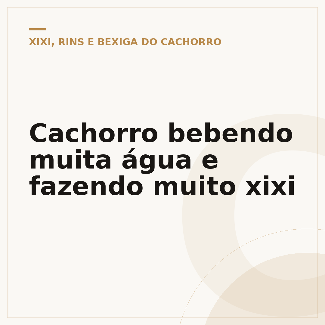 Cachorro bebendo muita água e fazendo muito xixi
