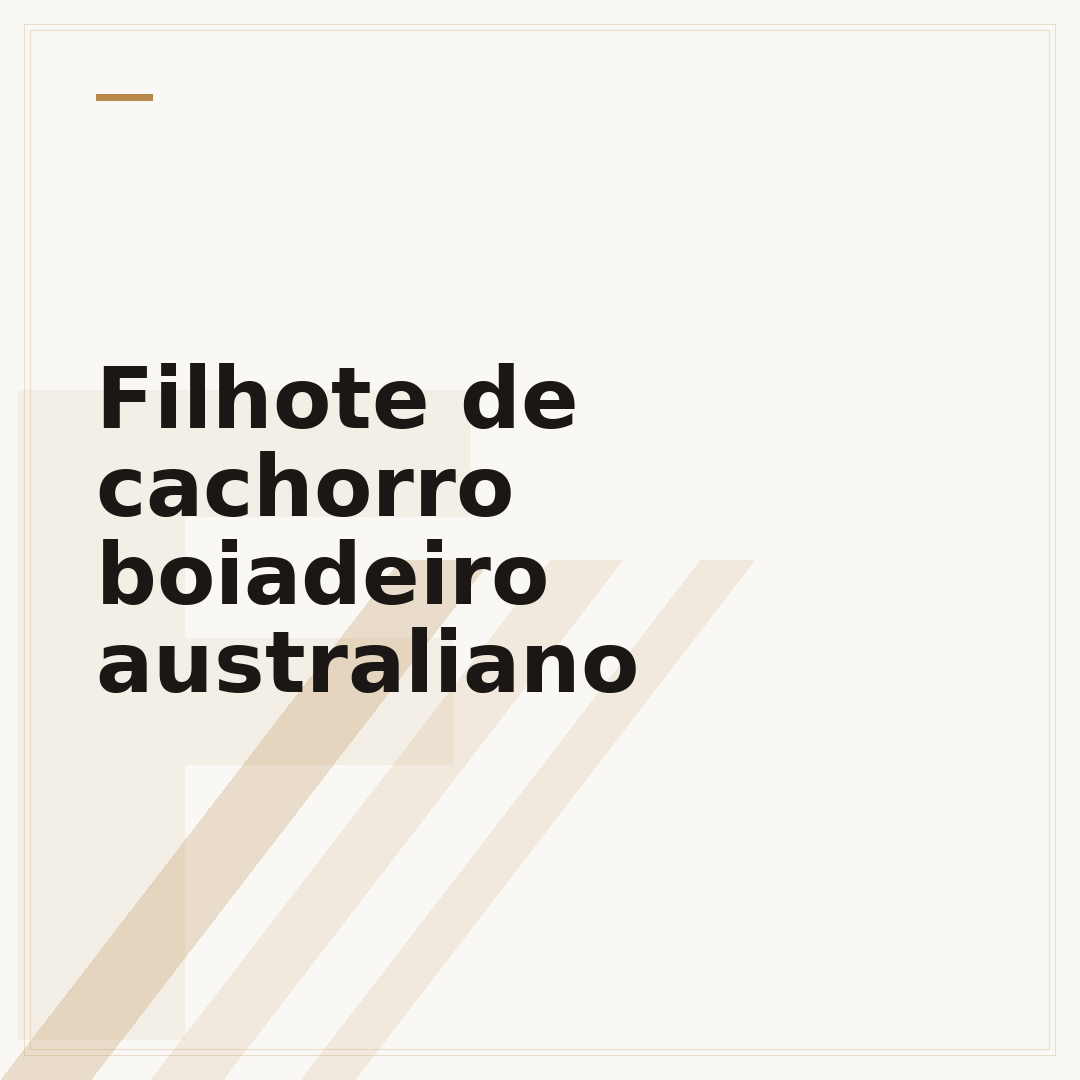 Filhote de cachorro boiadeiro australiano