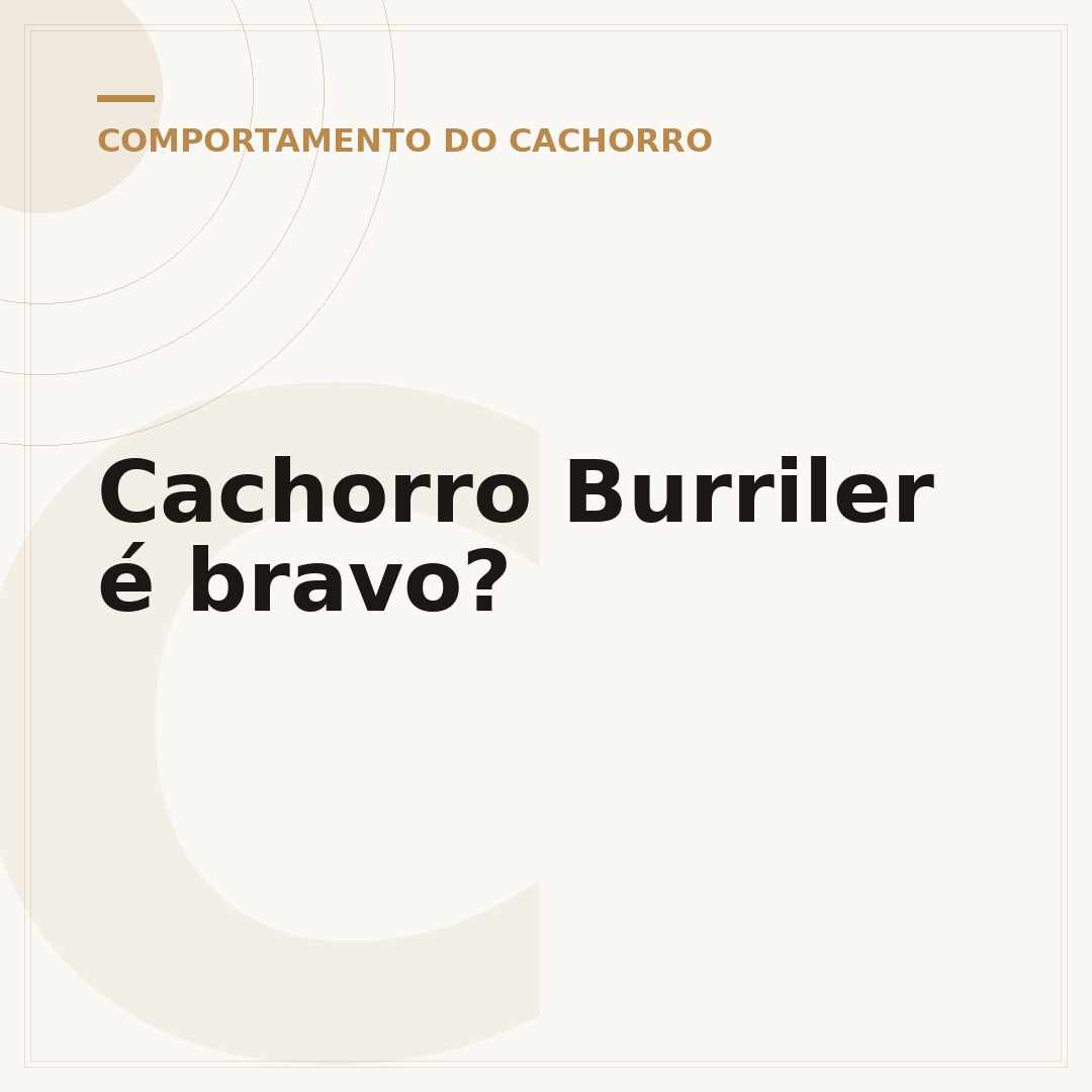 Cachorro Burriler é bravo?
