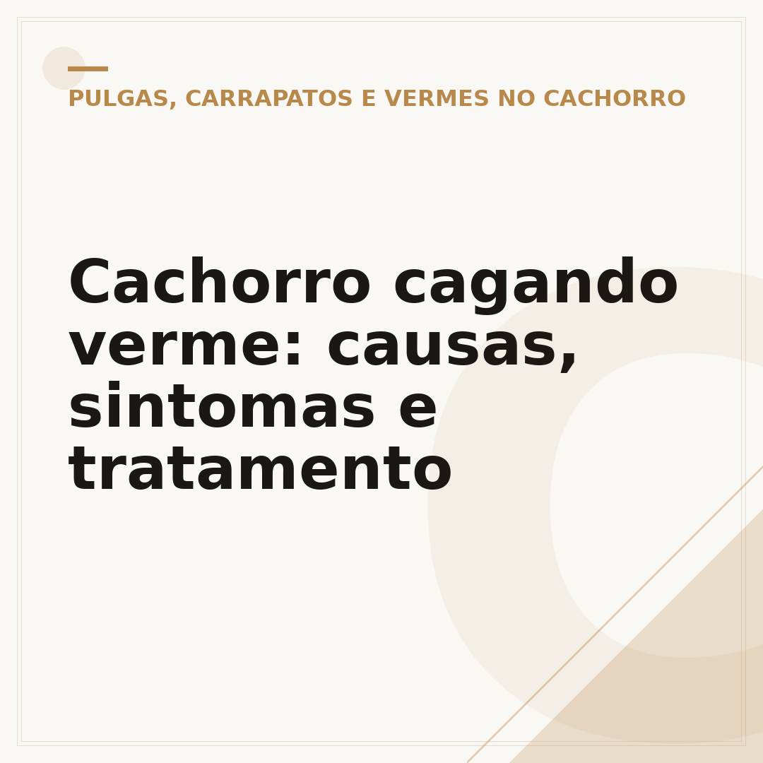 Cachorro cagando verme: causas, sintomas e tratamento