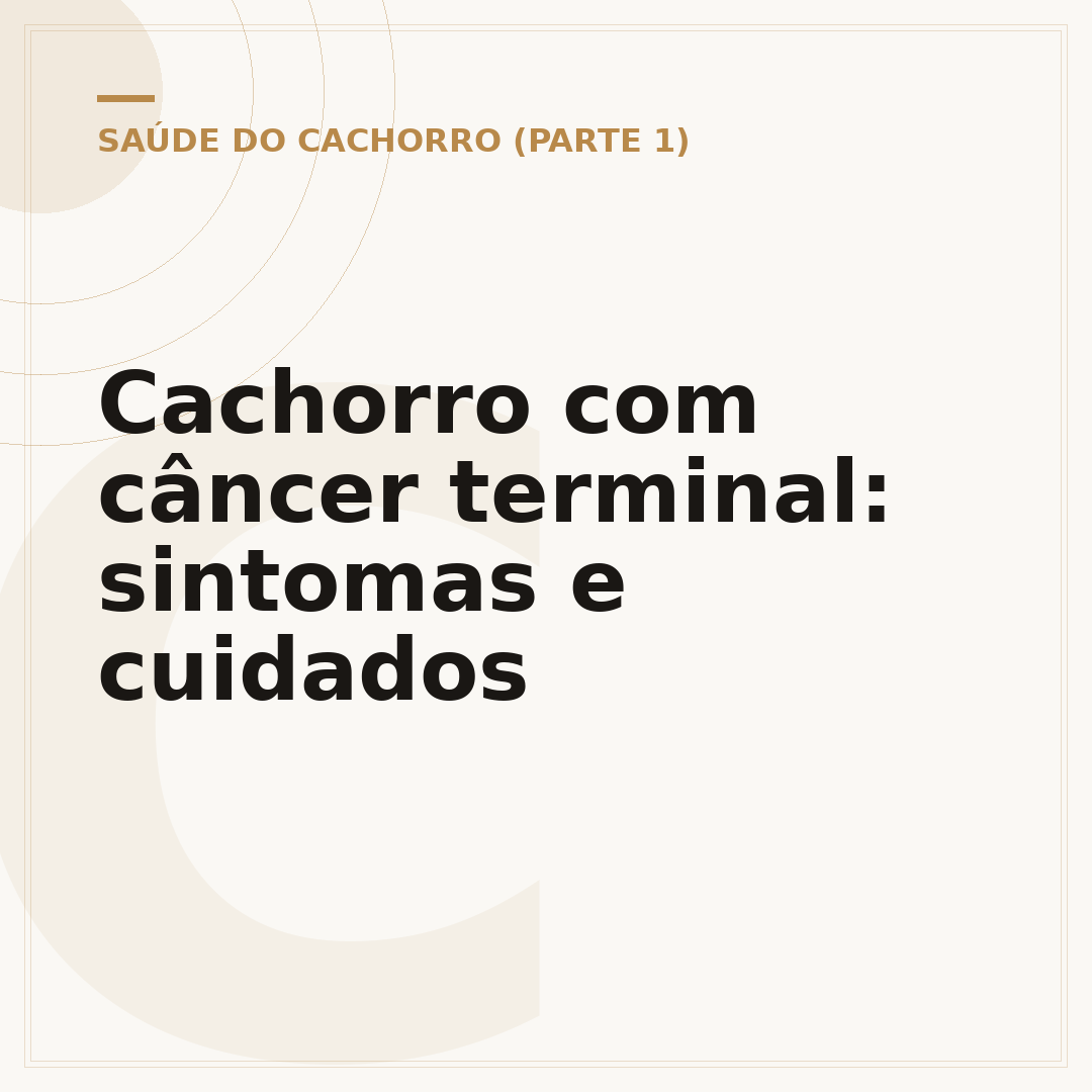 Cachorro com câncer terminal: sintomas e cuidados