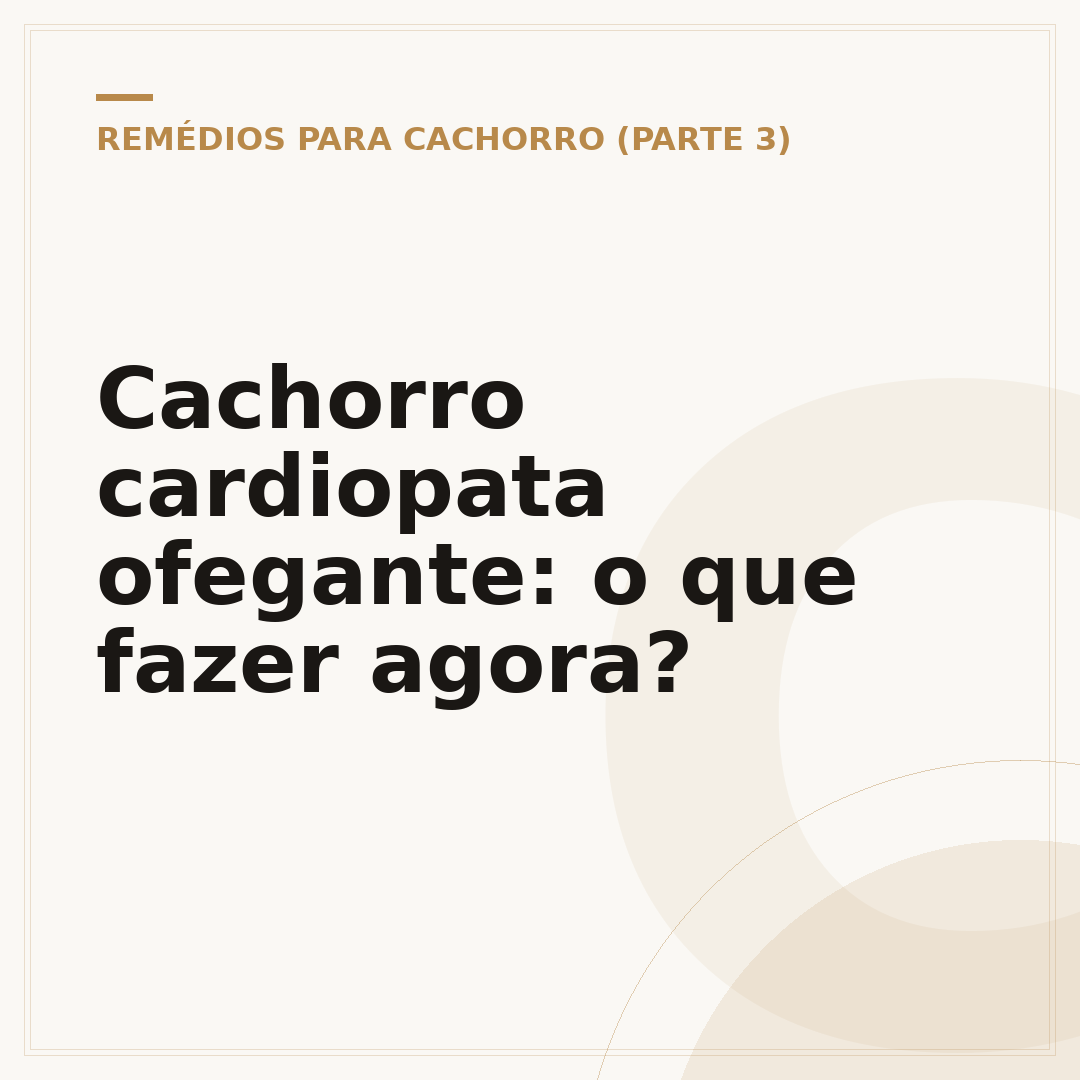 Cachorro cardiopata ofegante: o que fazer agora?