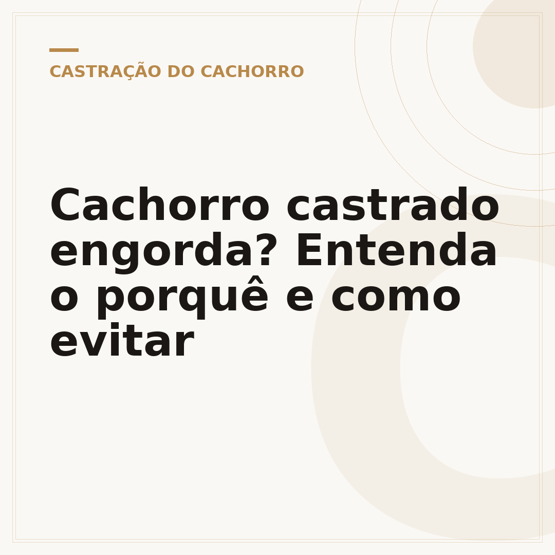 Cachorro castrado engorda? Entenda o porquê e como evitar