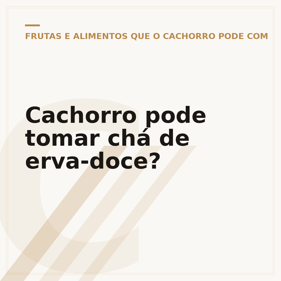 Cachorro pode tomar chá de erva-doce?