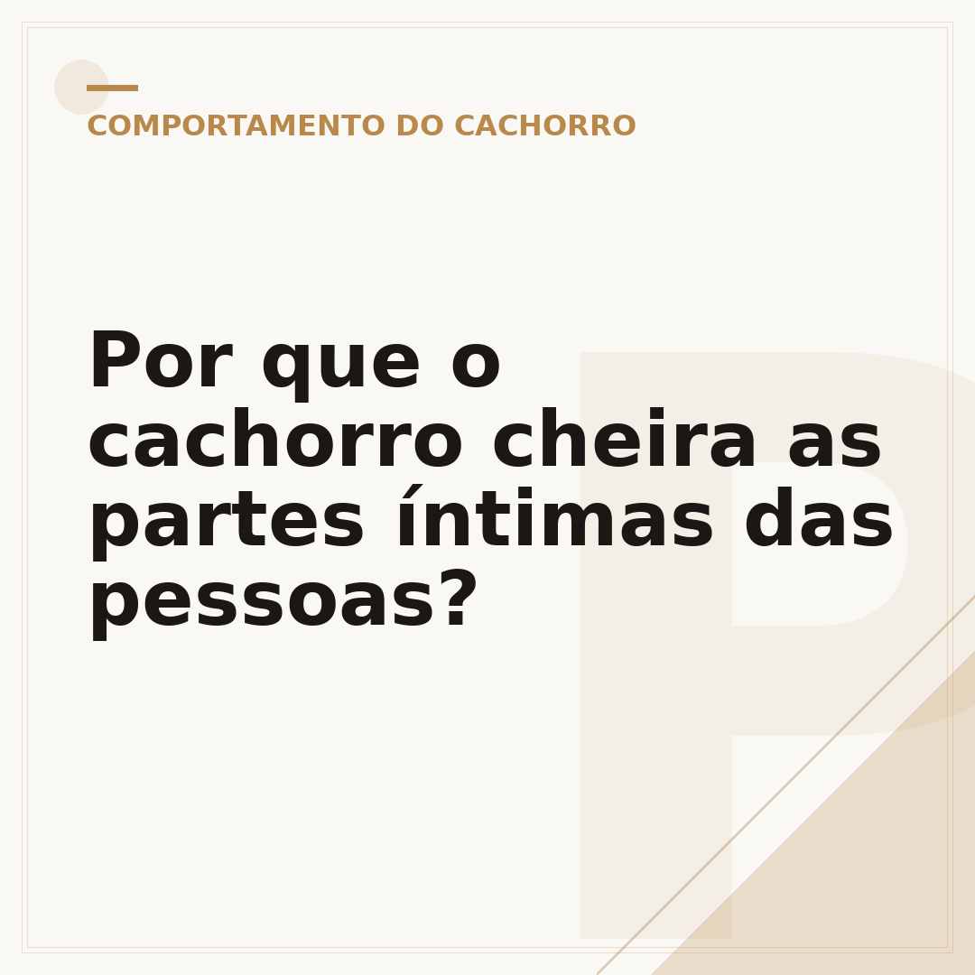 Por que o cachorro cheira as partes íntimas das pessoas?