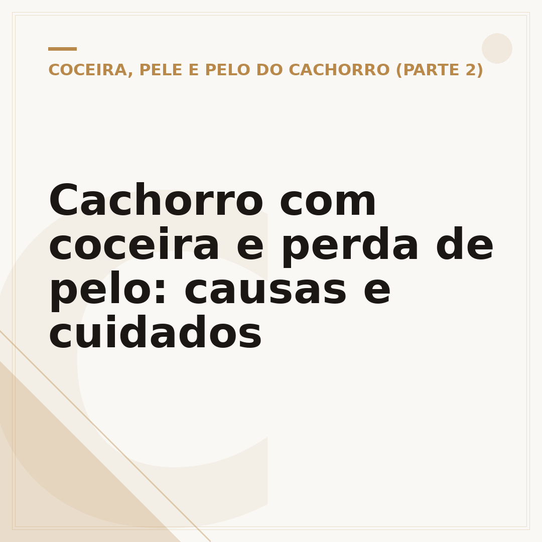 Cachorro com coceira e perda de pelo: causas e cuidados