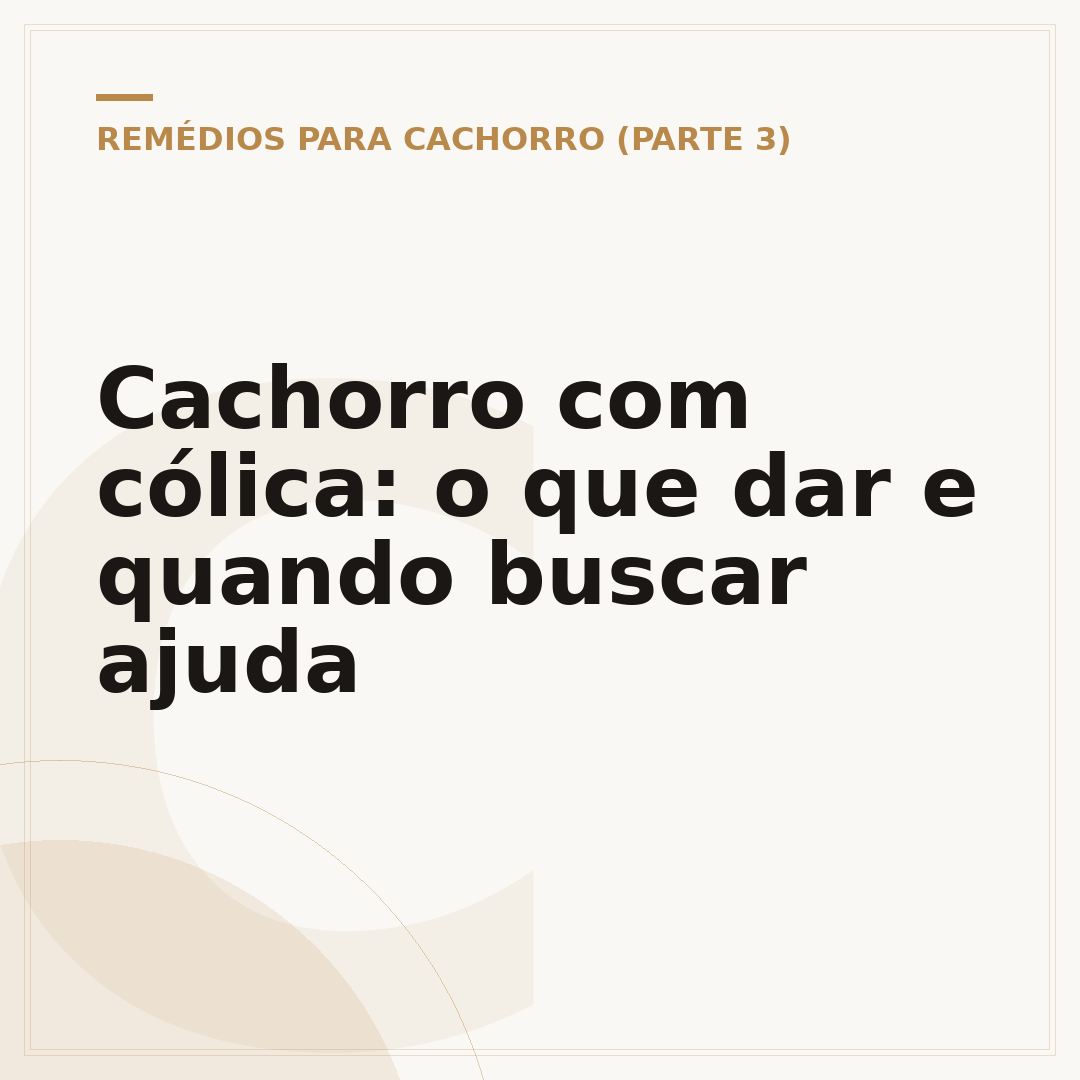 Cachorro com cólica: o que dar e quando buscar ajuda