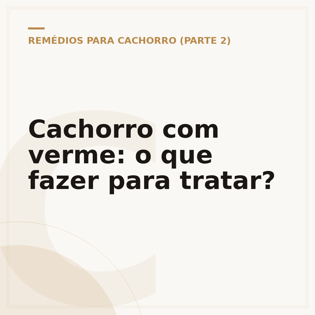 Cachorro com verme: o que fazer para tratar?