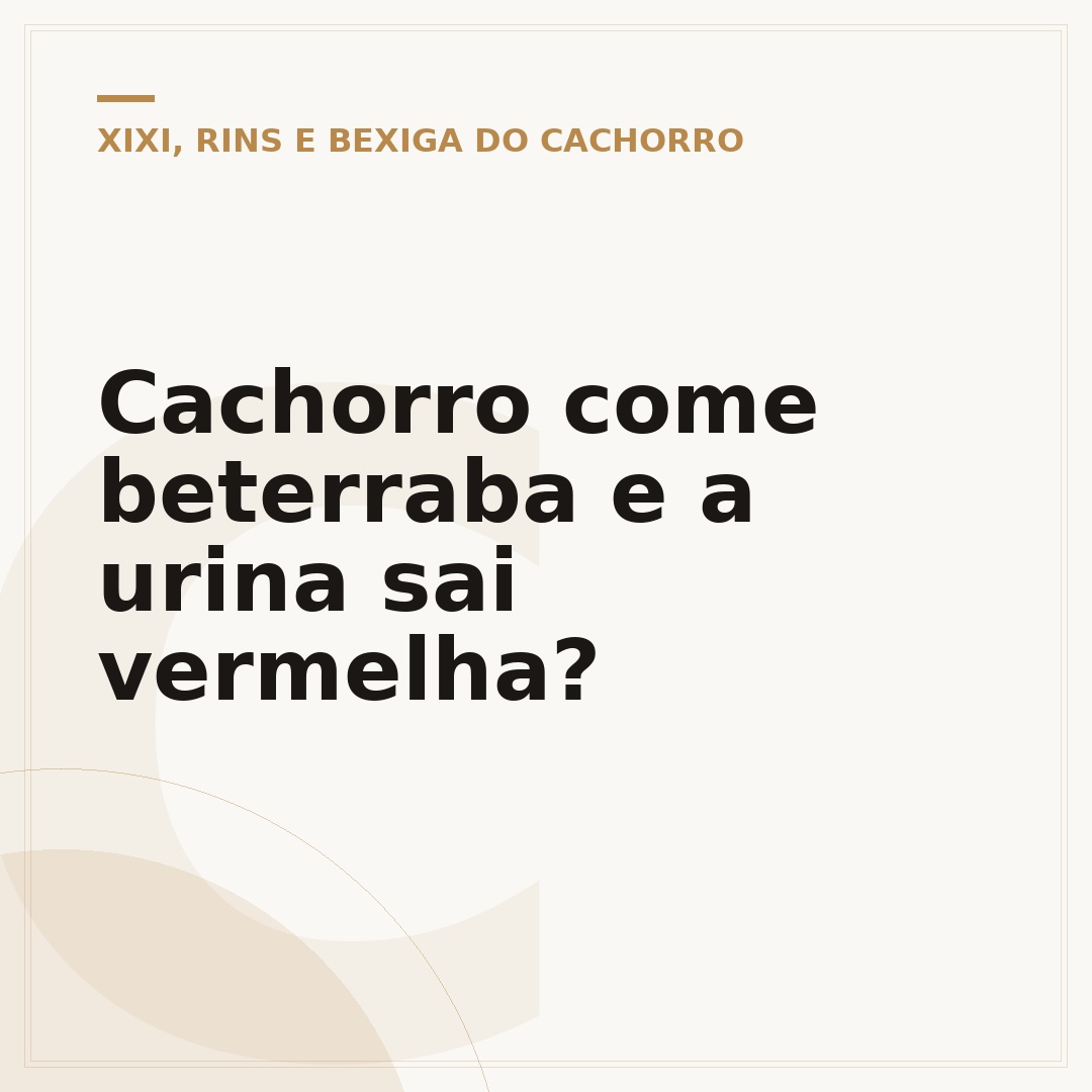 Cachorro come beterraba e a urina sai vermelha?