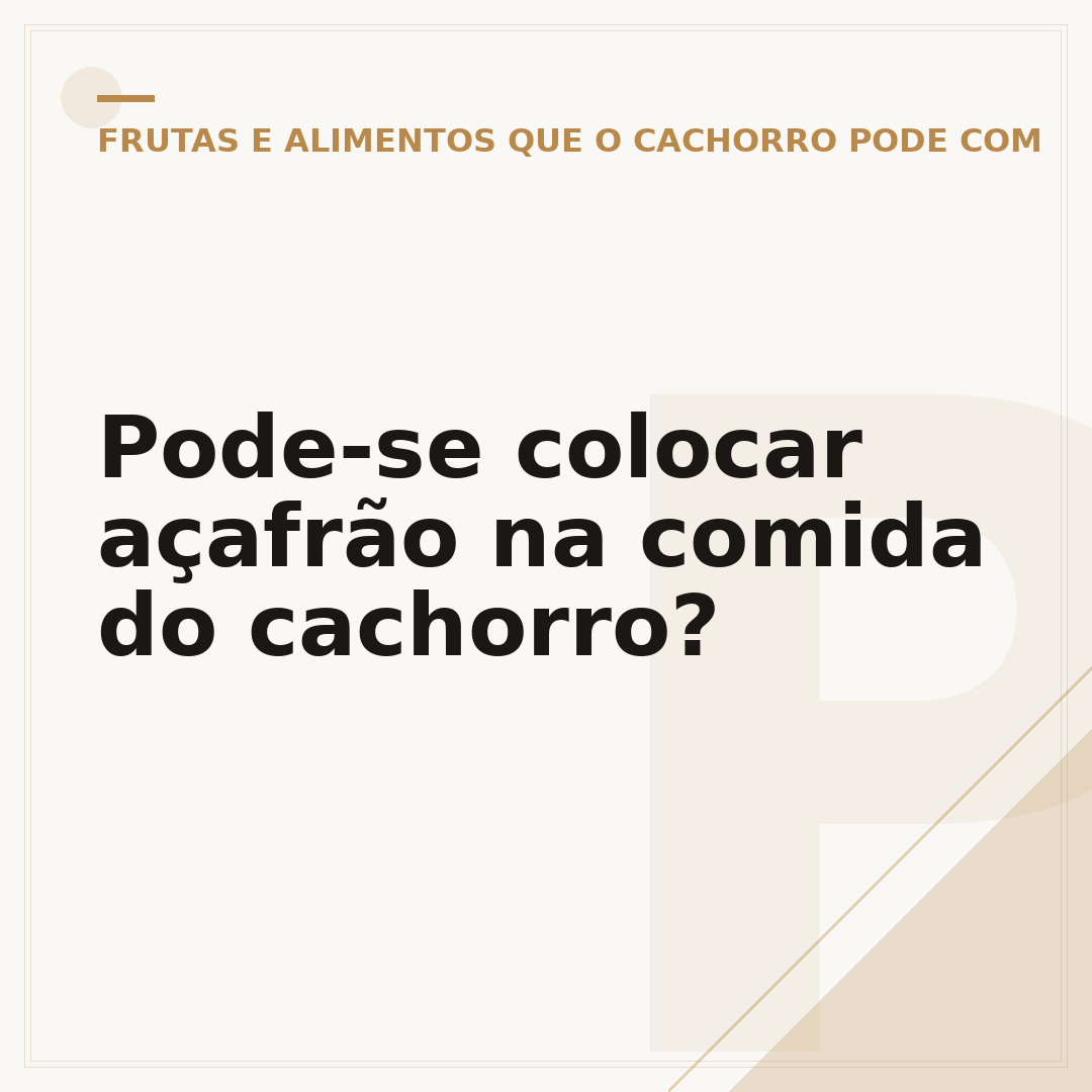 Pode-se colocar açafrão na comida do cachorro?