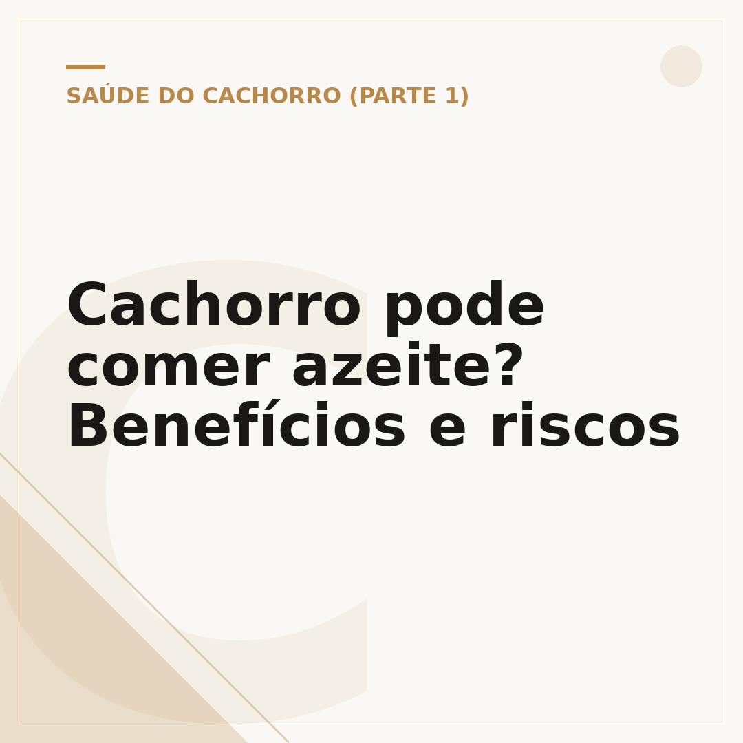 Cachorro pode comer azeite? Benefícios e riscos