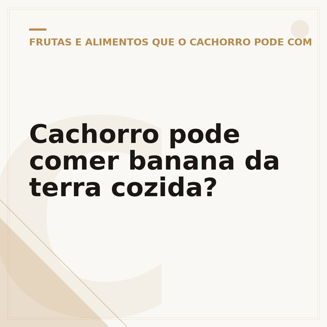 Cachorro pode comer banana da terra cozida?