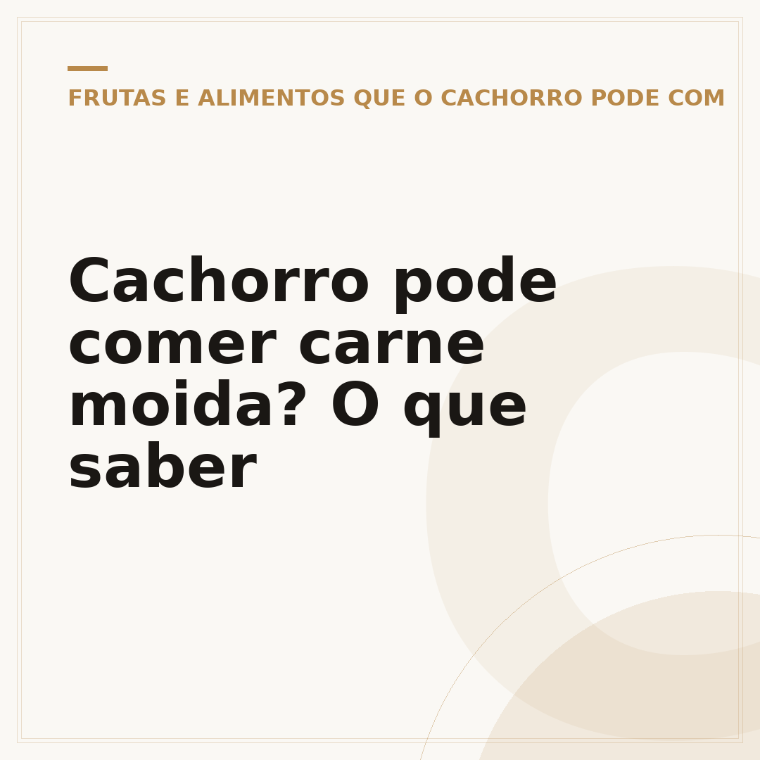 Cachorro pode comer carne moida? O que saber