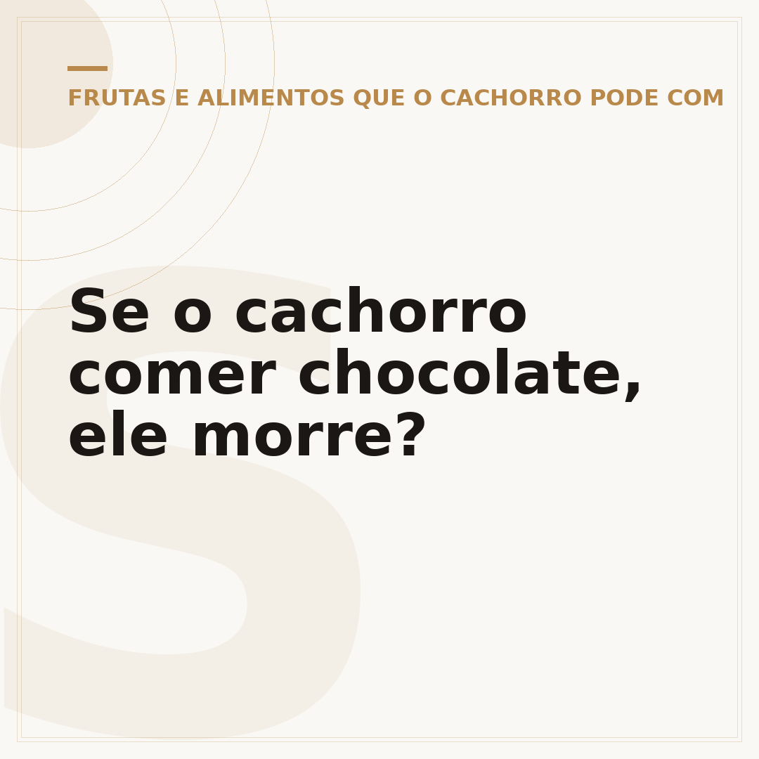 Se o cachorro comer chocolate, ele morre?