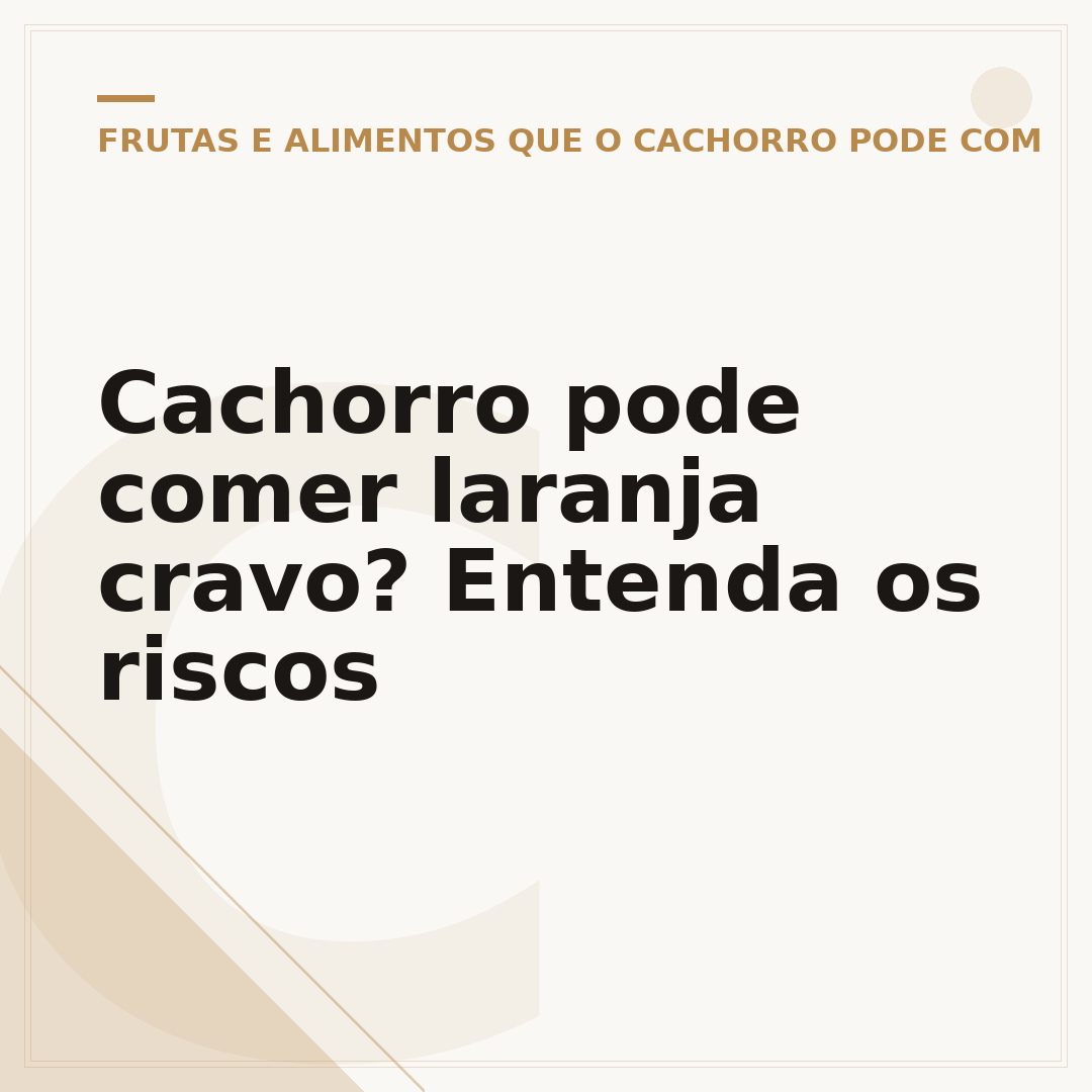 Cachorro pode comer laranja cravo? Entenda os riscos