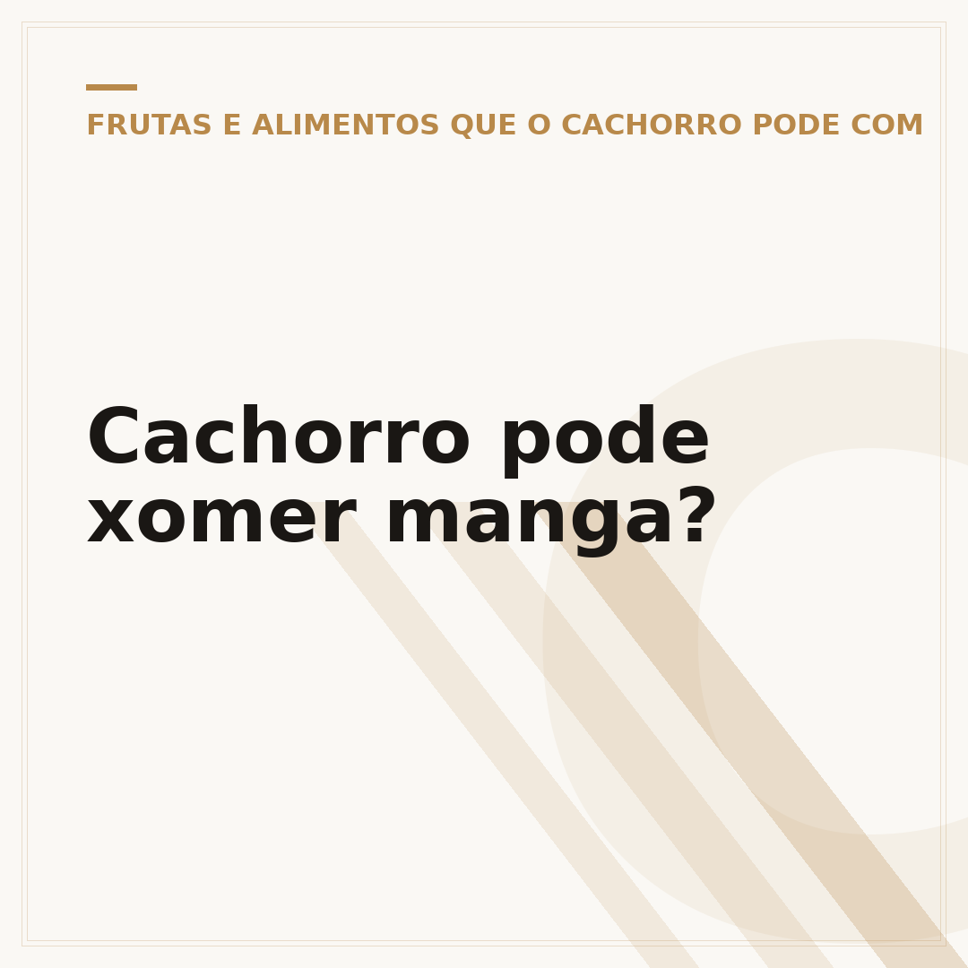 Cachorro pode xomer manga?