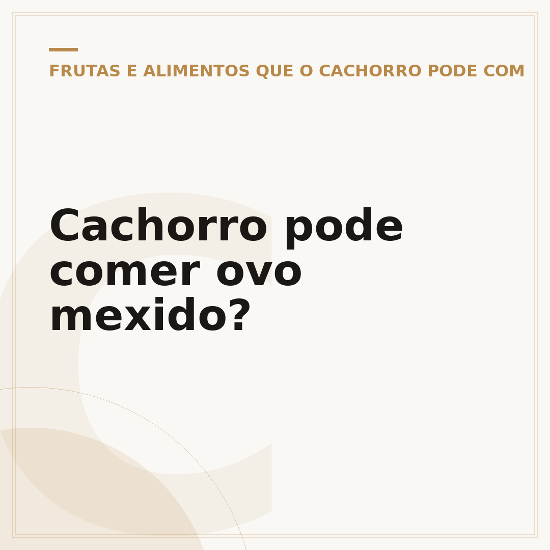 Cachorro pode comer ovo mexido?