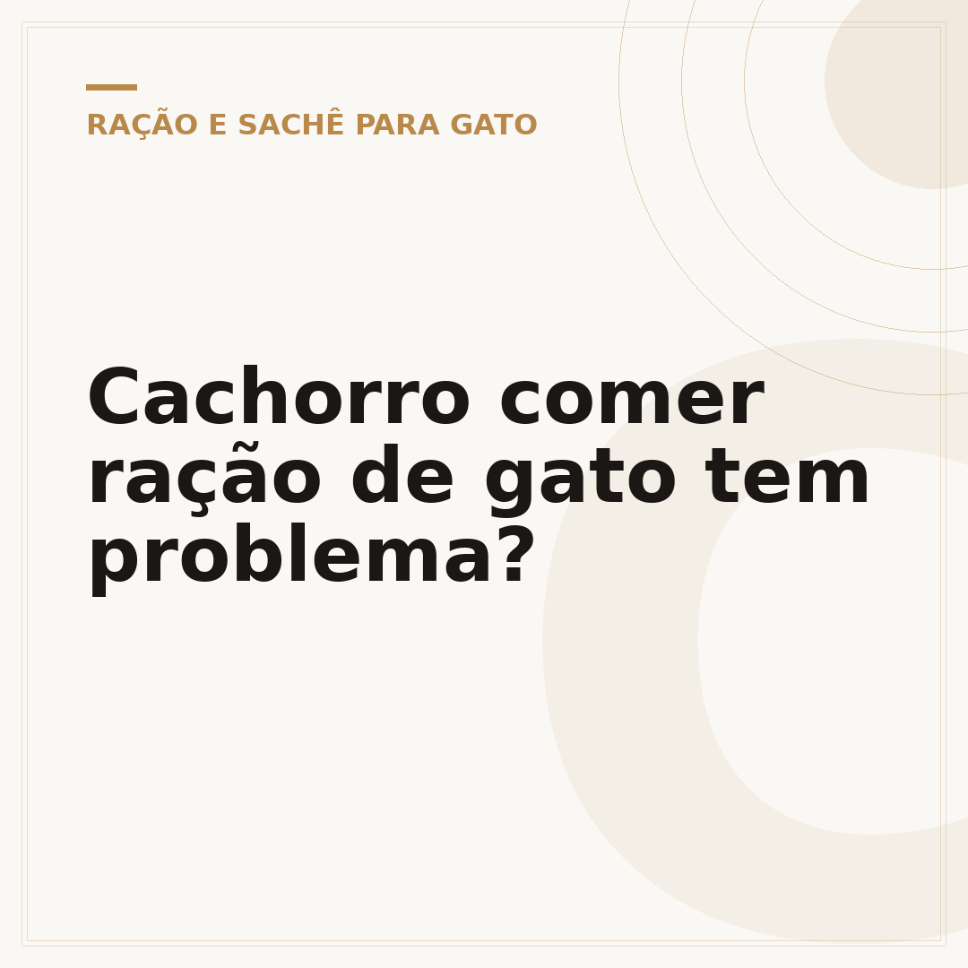 Cachorro comer ração de gato tem problema?