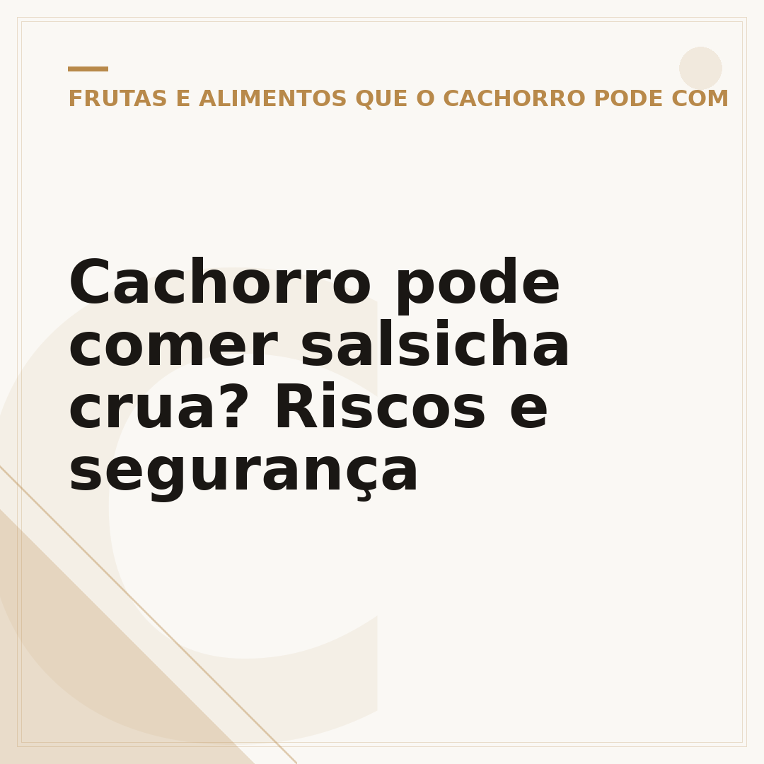 Cachorro pode comer salsicha crua? Riscos e segurança