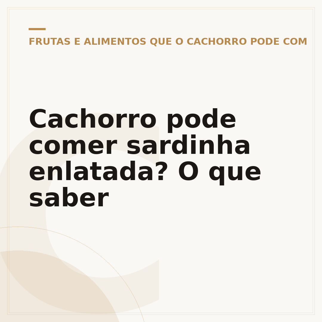 Cachorro pode comer sardinha enlatada? O que saber