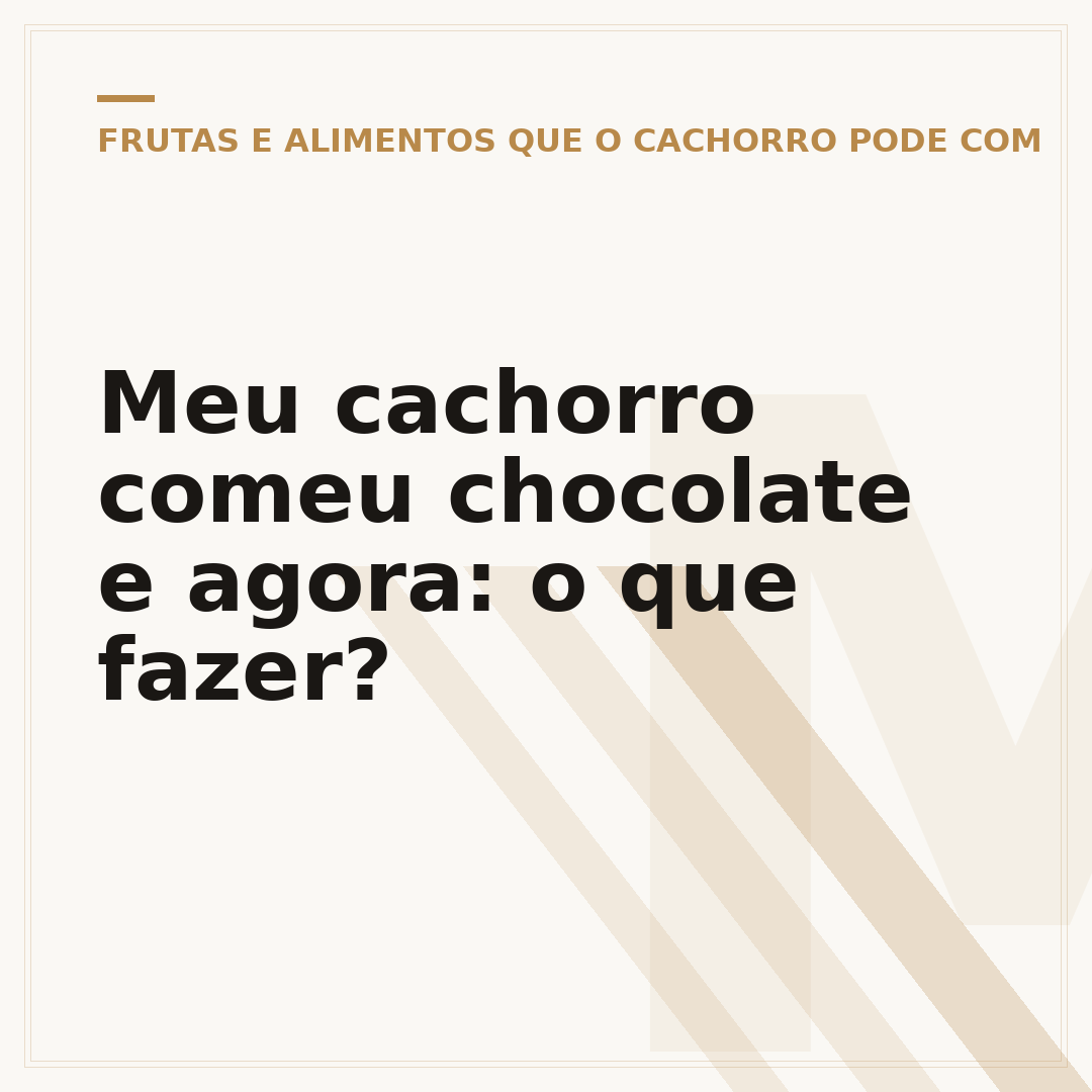 Meu cachorro comeu chocolate e agora: o que fazer?