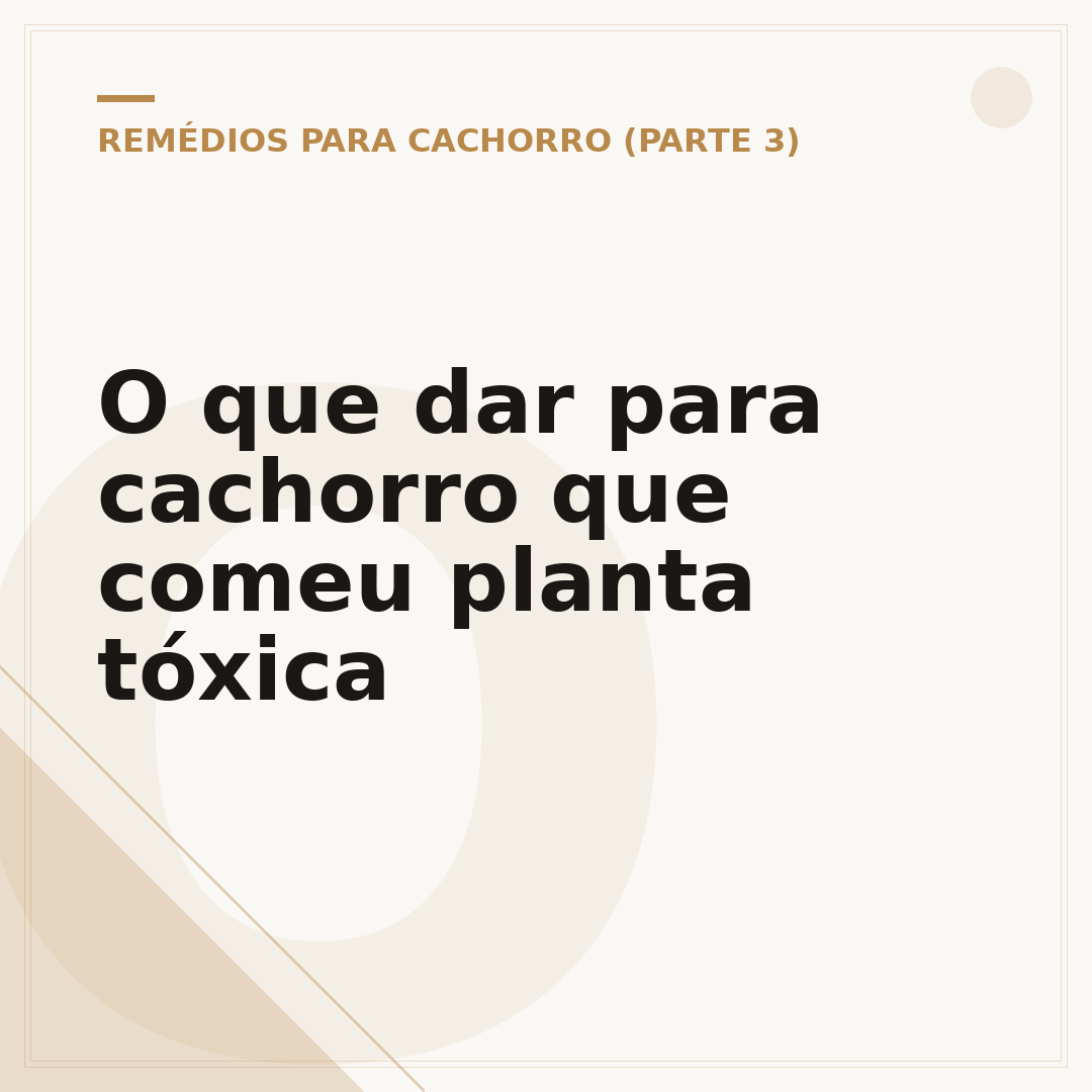 O que dar para cachorro que comeu planta tóxica
