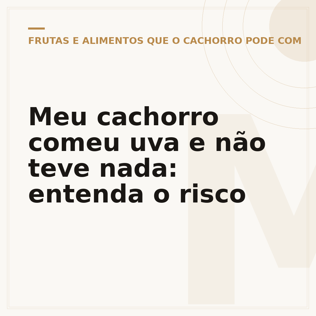 Meu cachorro comeu uva e não teve nada: entenda o risco