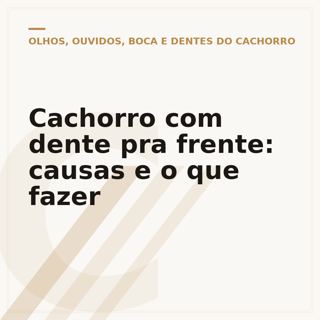 Cachorro com dente pra frente: causas e o que fazer