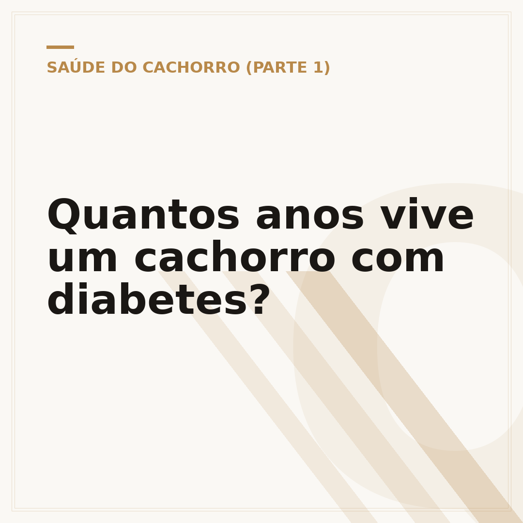 Quantos anos vive um cachorro com diabetes?