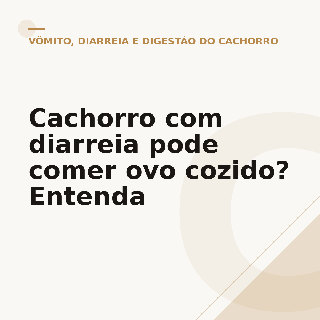 Cachorro com diarreia pode comer ovo cozido? Entenda
