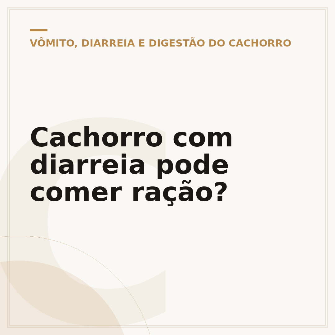 Cachorro com diarreia pode comer ração?