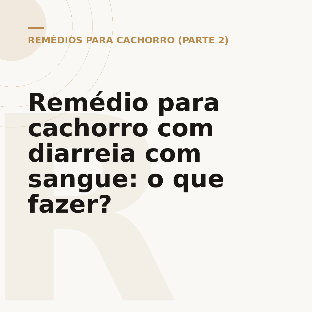 Remédio para cachorro com diarreia com sangue: o que fazer?