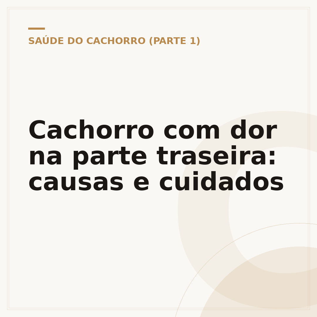 Cachorro com dor na parte traseira: causas e cuidados