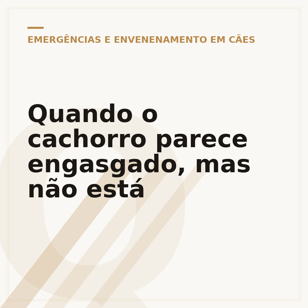 Quando o cachorro parece engasgado, mas não está