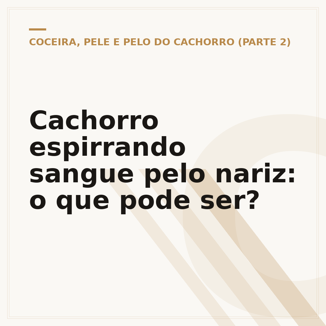 Cachorro espirrando sangue pelo nariz: o que pode ser?