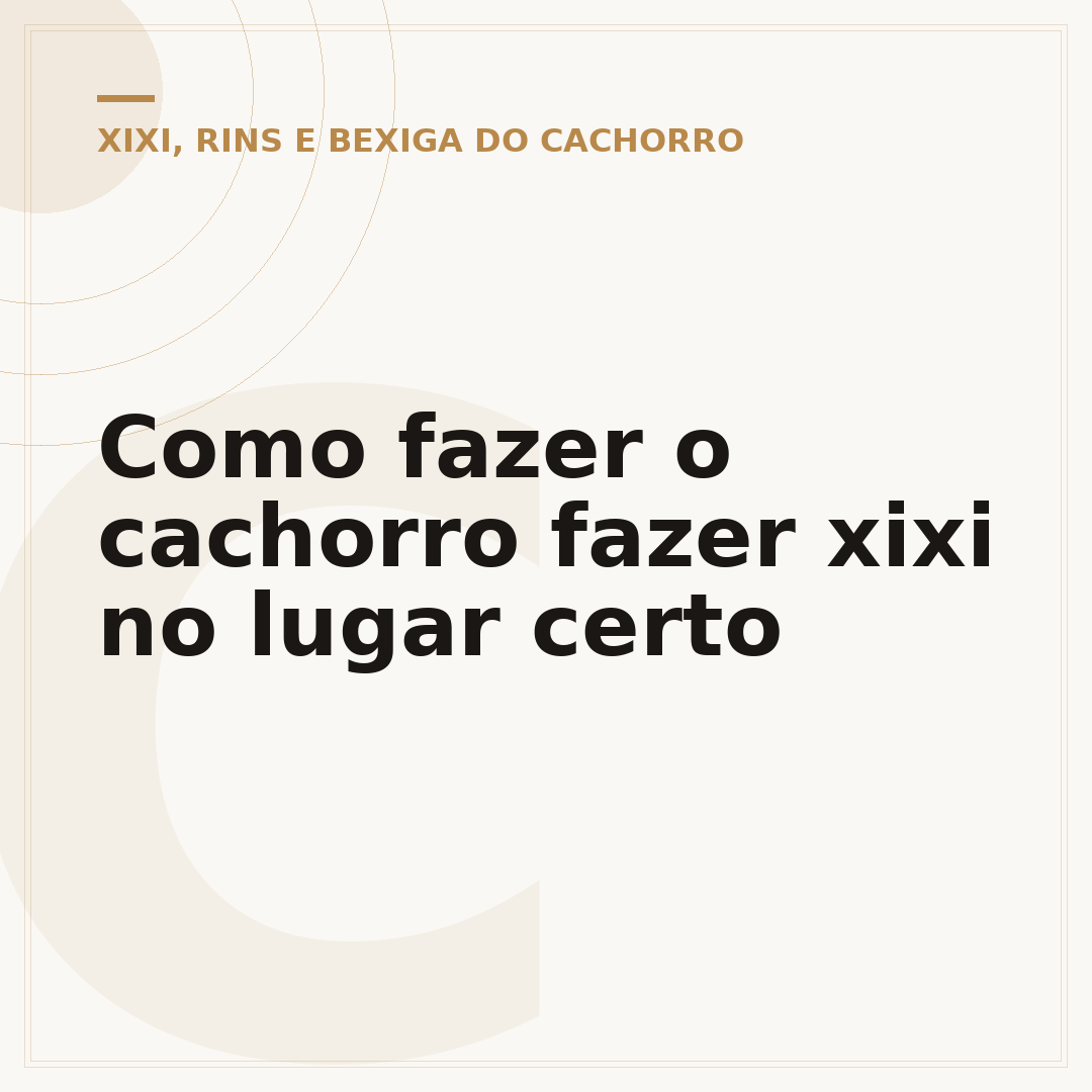 Como fazer o cachorro fazer xixi no lugar certo